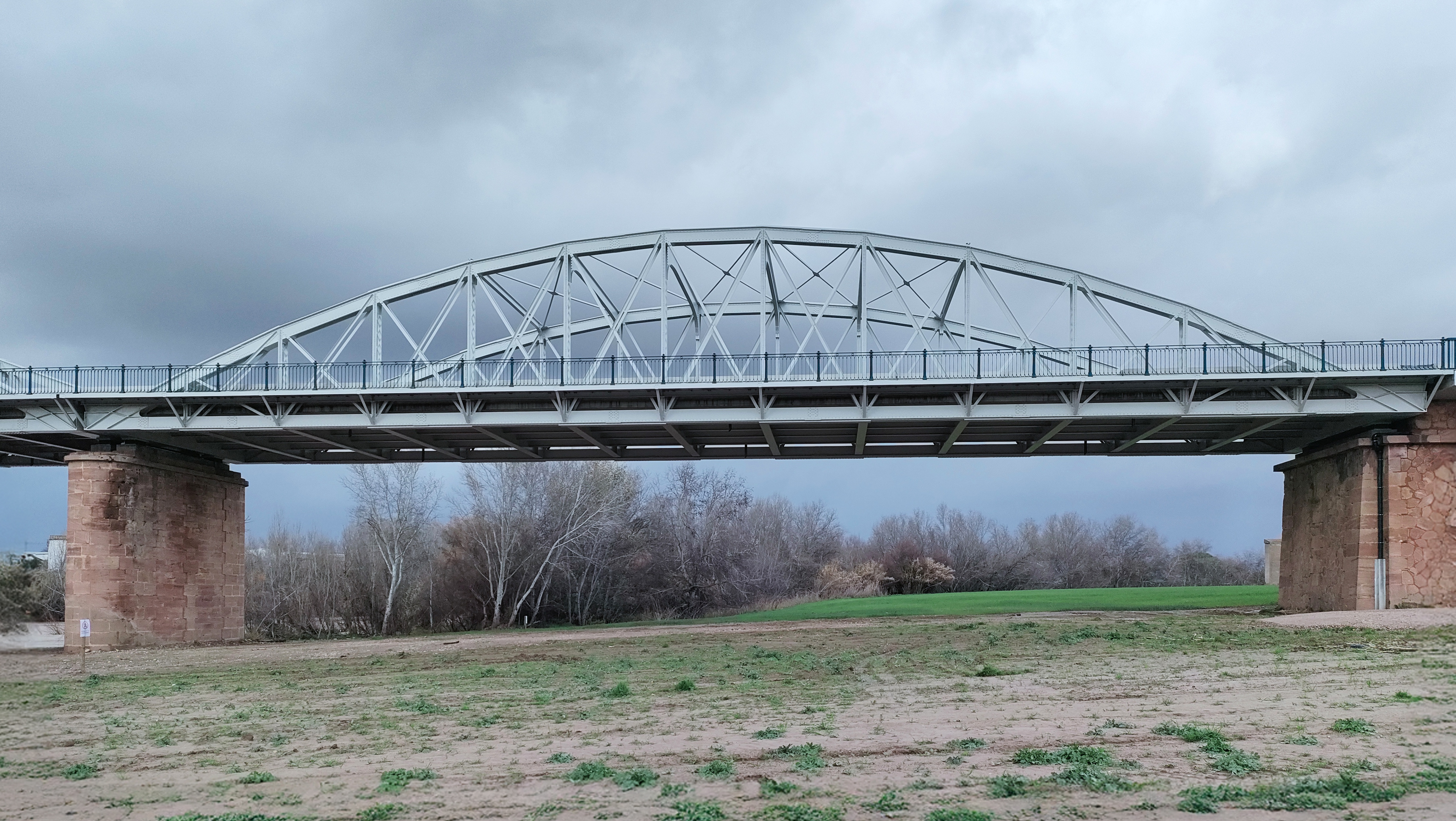 IMG20260127162543 fly_10870.jpg